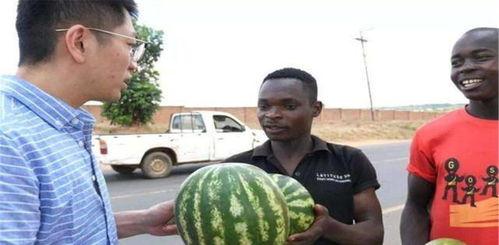 校园暴力黑料吃瓜