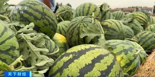 上海教师吃瓜黑料