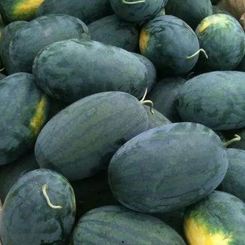 海角吃瓜黑料,黑料背后的真相与反思