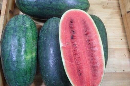 缅北火车吃瓜黑料,一场惊心动魄的“吃瓜”之旅