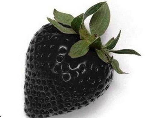 吃瓜 黑料 国产精品