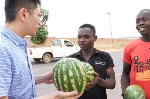 今日吃瓜黑料-海外吃瓜小僵尸,揭秘娱乐圈背后的神秘故事