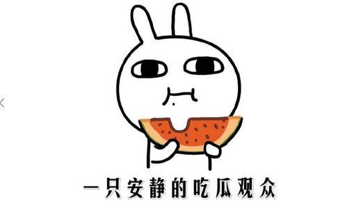 小逗逗吃瓜黑料网爆在线