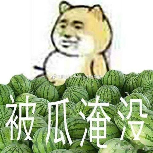 国产吃瓜黑料精品一区,一区精品背后的故事
